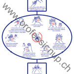 Händedesinfektion_Flyer_Vorlage_IT_ihr_logo Händedesinfektion_Flyer_Vorlage_IT_ihr_logo